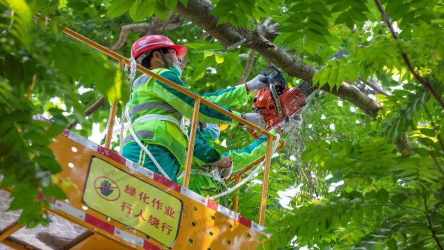 园林管理岗位面试问题揭秘：请简要介绍您在园林设计和维护方面的经验。