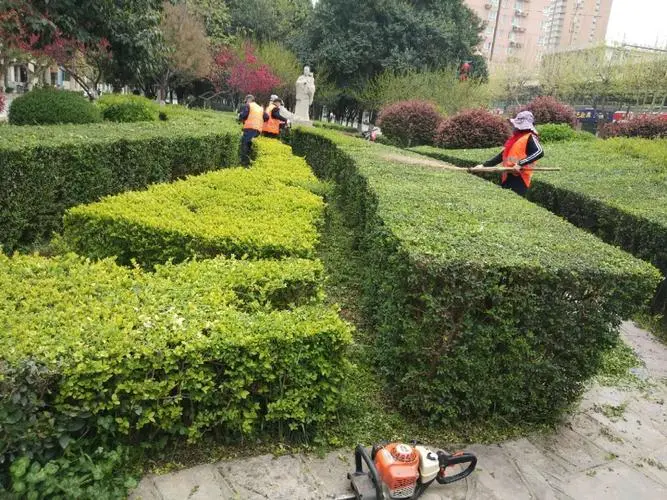 太仓娄东街道绿化工程