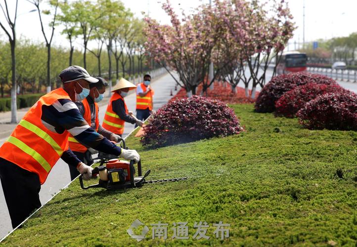 园林管理专业面试：挑战和机遇